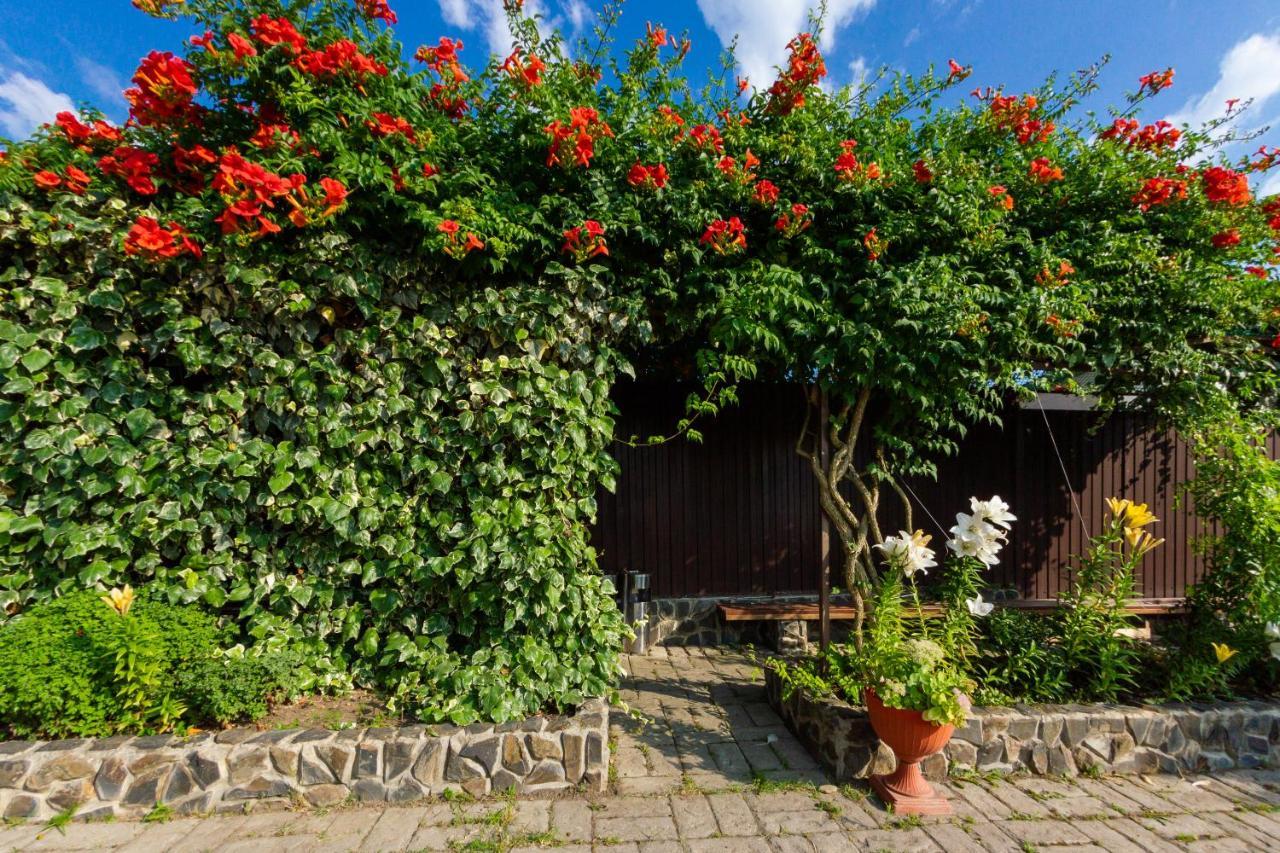 Абхазская Усадьба Hotel Gagra Esterno foto